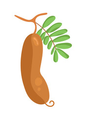 Tamarind. Flat vector, clipart illustration isolated on white background.