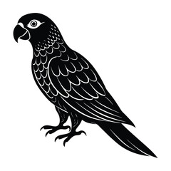 illustration of a parrot on a white background.