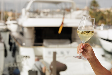 Pretty woman enjoying her glass of white wine in front of the city's harbor.