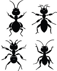 Ant Silhouette Vector Designs 