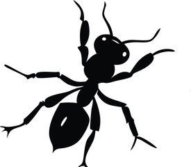 Ant  Silhouette designs