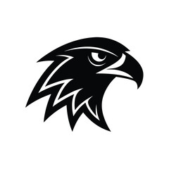 eagle head vector illustration