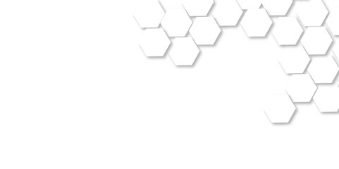 Abstract technology white geometric hexagon on transparent concept design honeycomb shape vector. 