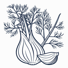 hand drawn vector illustration of onion