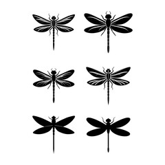 Fototapeta premium butterfly on a white background