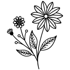 Minimal Boho Wildflower Vector Illustration on White Background