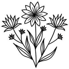 Minimal Boho Wildflower Vector Illustration on White Background