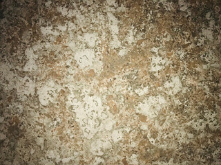 rusty metal background.