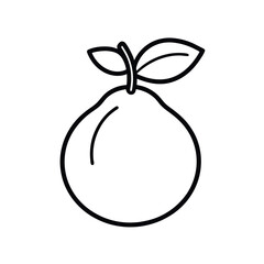 Pear fruit of vector illustration