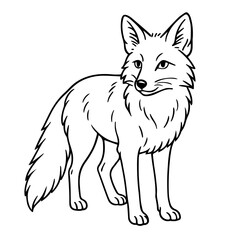 Fototapeta premium fox