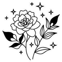 Minimal Dreamy Floral Elements Vector Illustration on White Background