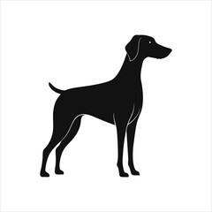 Stylized Setter Silhouette Contemporary Vector Design