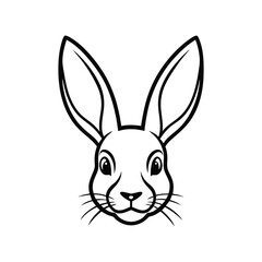 vector illustration of a bunny