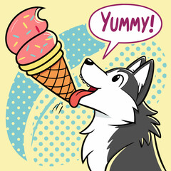 Siberian Husky eating ice cream