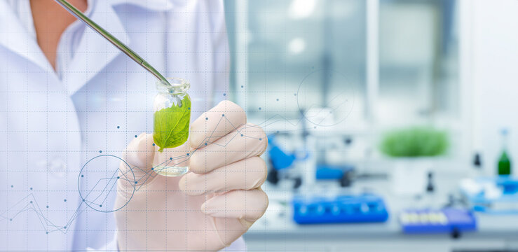 Biolaboratory of the future plant research.