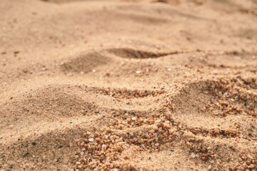 Soft golden grains of sand shaped by gentle winds on a sunlit beach near a tranquil shoreline