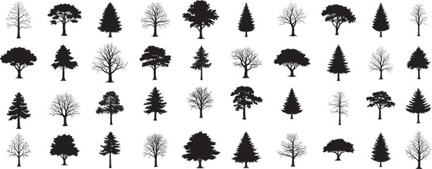 silhouette tree line drawing set, Side view, set of graphics trees elements outline symbol for architecture and landscape design drawing