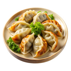 fried dumpling isolated with meat beef pork background