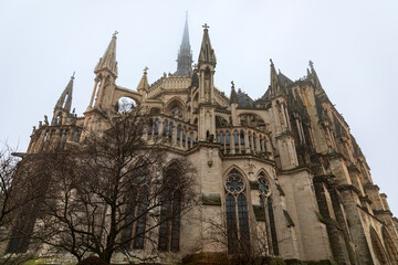 Fototapeta premium Christmas fog. Reims