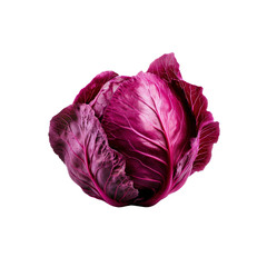 Obraz premium Vibrant Red Cabbage A Culinary Delight
