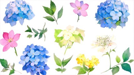 Illustration of hydrangeas and wildflowers painted in watercolor