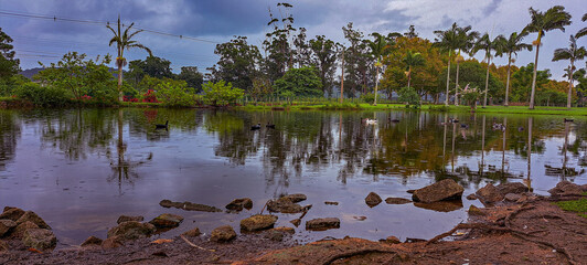 lago com plantas, aves e pedras