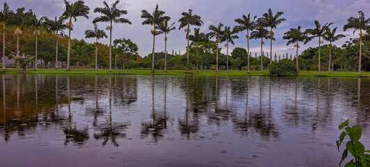 lago com reflexos das árvores
