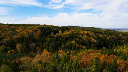 Fototapeta premium autumn landscape view from above hill forest