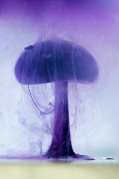 Purple ink cloud resembling a mushroom in water