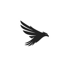 Fototapeta premium Eagle in flight silhouette