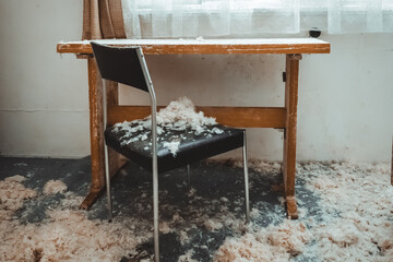 Discovering remnants of a forgotten space filled with scattered feathers and neglected furniture in...