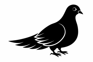 Mourning dove silhouette black vector
