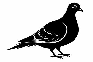 Mourning dove silhouette black vector