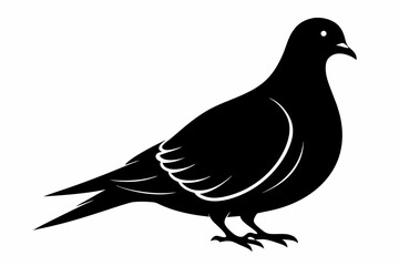 Mourning dove silhouette black vector