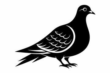 Mourning dove silhouette black vector