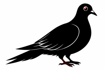 Mourning dove silhouette black vector