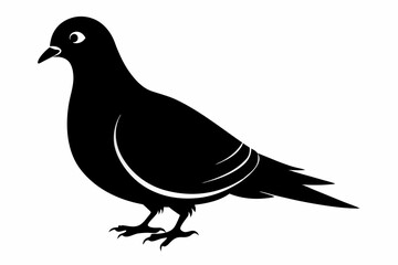 Mourning dove silhouette black vector