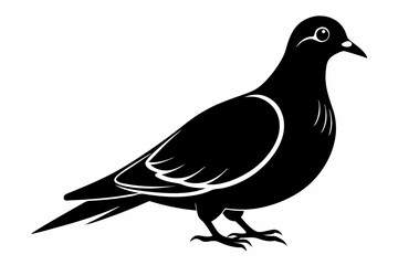 Mourning dove silhouette black vector