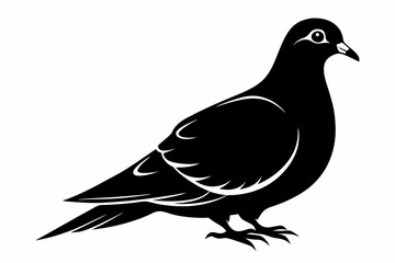 Mourning dove silhouette black vector