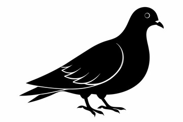Mourning dove silhouette black vector