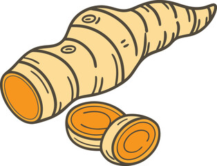 Curcuma turmeric root isolated vector illustration