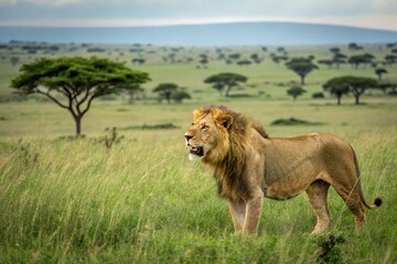 lion prompts image