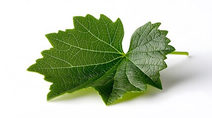 Fototapeta premium a minimal white background featuring a fresh green leaf to represent purity, calm, and eco-friendly natural elements
