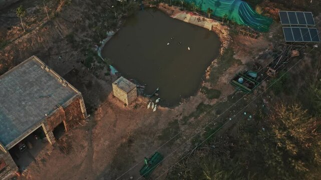 rural area featuring pond with ducks and greenhouse with solar panels surrounded by plants, Chakwal