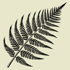 Naklejka premium fern leaf isolated on black