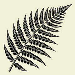 Naklejka premium fern leaf isolated on black vector