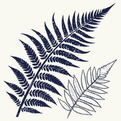 Naklejka premium fern leaf isolated on black vector