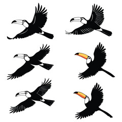 Flying toucan bird silhouette vector set – tropical jungle and exotic wildlife illustration