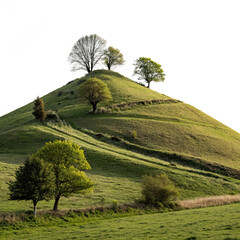 Fototapeta premium landscape with green fields