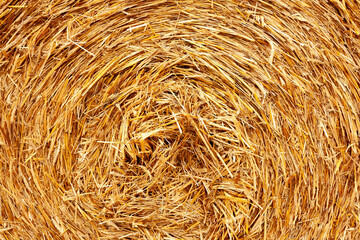 Closeup of round hay bale with spiral texture
